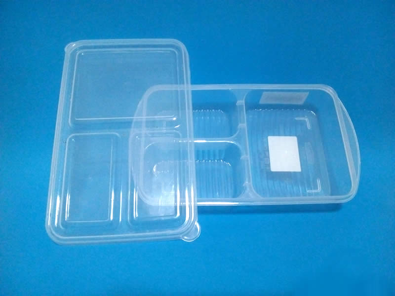 Food box thick plastic